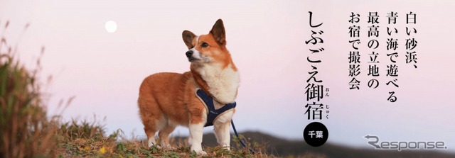 房総半島で愛犬と楽しい体験が楽しめるおでかけプラン「おでか犬」