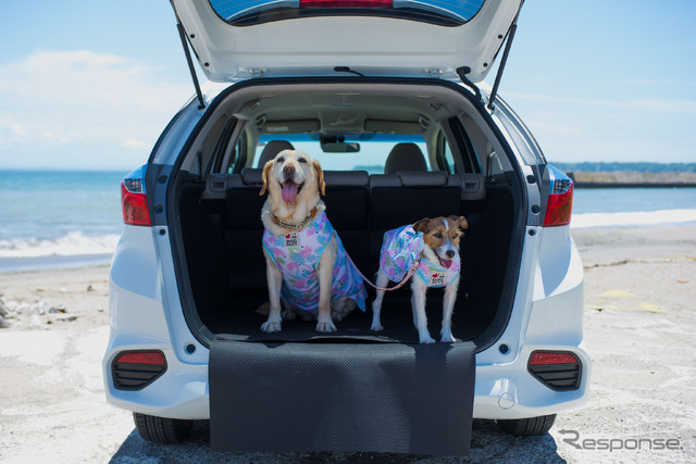 ホンダ シャトル と愛犬の旅