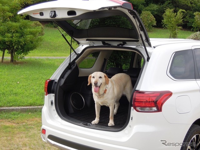 新型アウトランダーPHEV ラゲッジ部分の静粛性も高まり、愛犬家にも最適