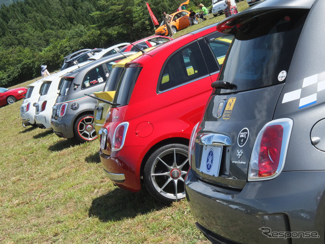 参加者のメインはフィアット500/アバルト500(東北トリコローレ2015)