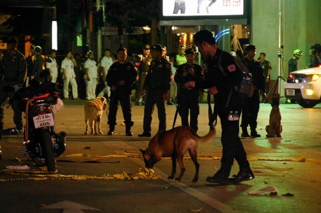 警察犬も出動