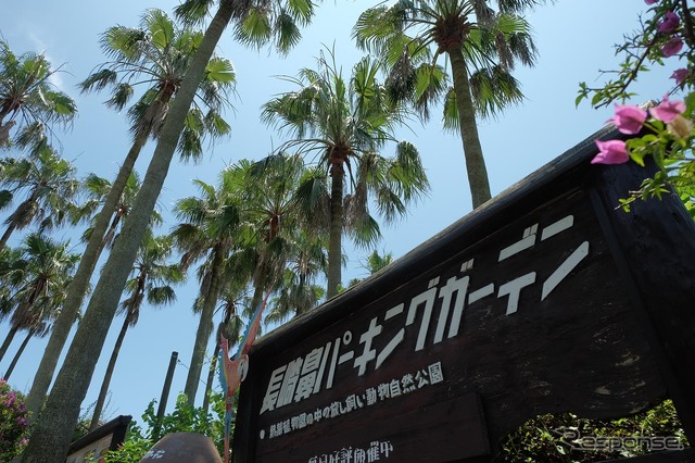東京から鹿児島へ、LCCと格安レンタカーでダイナミックに旅してみた