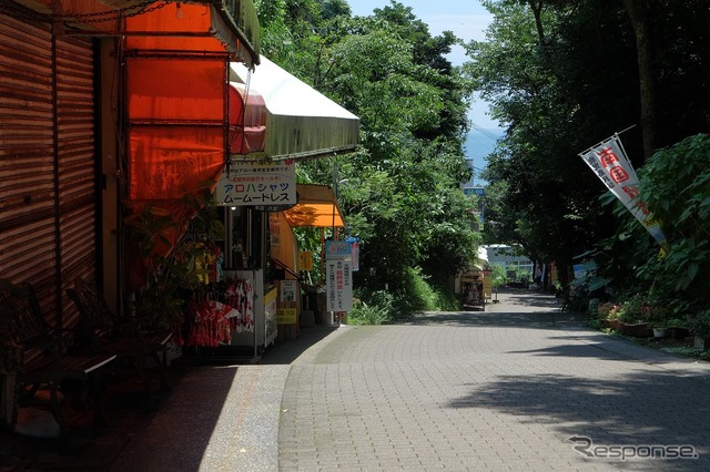 東京から鹿児島へ、LCCと格安レンタカーでダイナミックに旅してみた