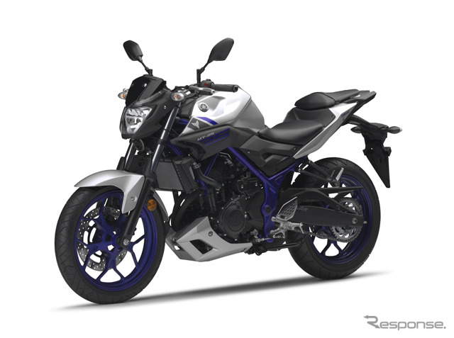 MT-25マットシルバー