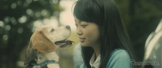 トヨタドッグサークルウェブ限定動画「Smile Again」