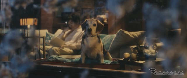 トヨタドッグサークルウェブ限定動画「Smile Again」
