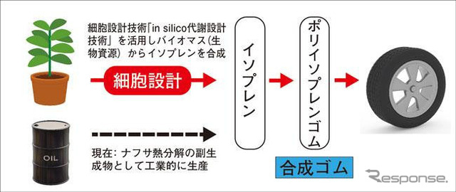 バイオマスを原料とした合成ゴム(ポリイソプレンゴム)生成のイメージ