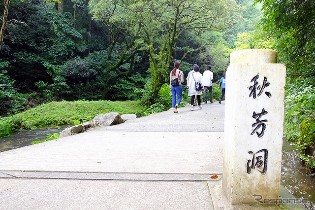 「日本最大級のカルスト台地」といわれる秋吉台（山口県美祢市）。その地下には日本屈指の大鍾乳洞「秋芳洞」がある