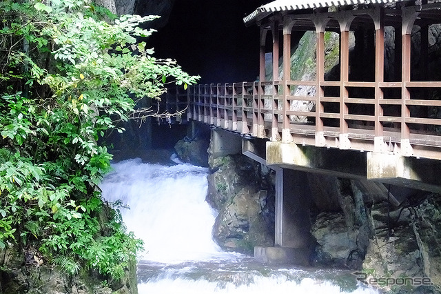 「日本最大級のカルスト台地」といわれる秋吉台（山口県美祢市）。その地下には日本屈指の大鍾乳洞「秋芳洞」がある