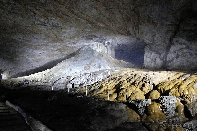 「日本最大級のカルスト台地」といわれる秋吉台(山口県美祢市)。その地下には日本屈指の大鍾乳洞「秋芳洞」がある