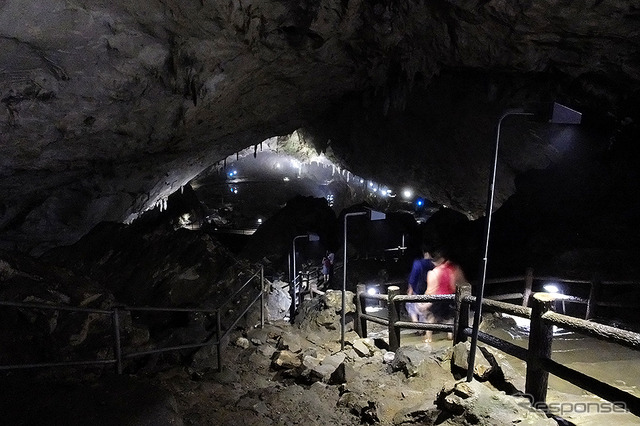 「日本最大級のカルスト台地」といわれる秋吉台（山口県美祢市）。その地下には日本屈指の大鍾乳洞「秋芳洞」がある