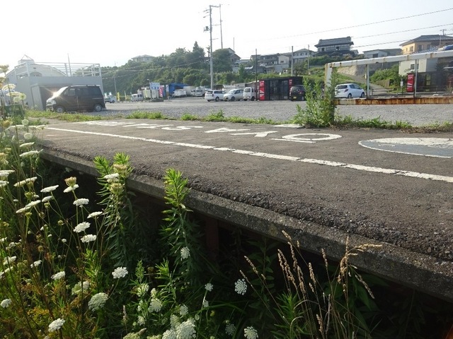 【ツール・ド・東北15】道の駅 大谷海岸がエイドステーションに