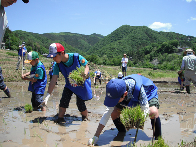 お米づくり(田植え編)で、食のありがたみ