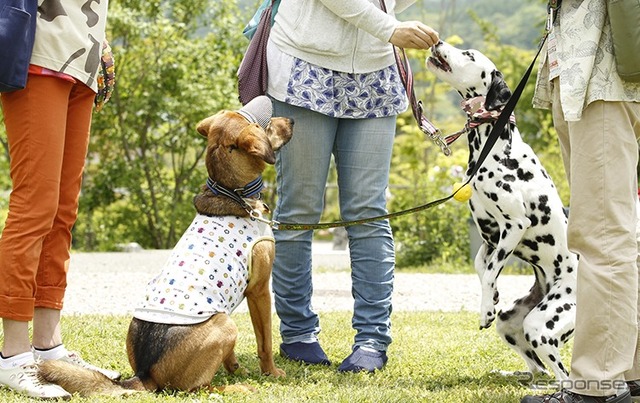 2015動物感謝デー in JAPAN World Veterinary Day