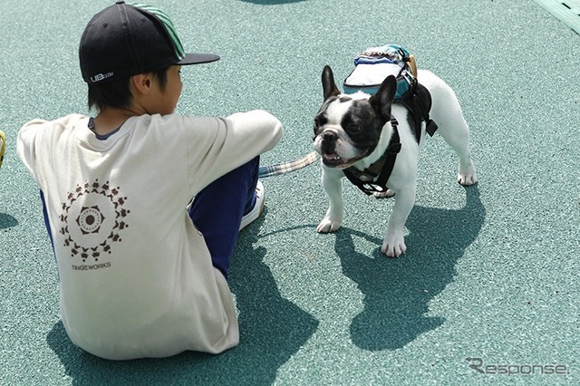 2015動物感謝デー in JAPAN World Veterinary Day