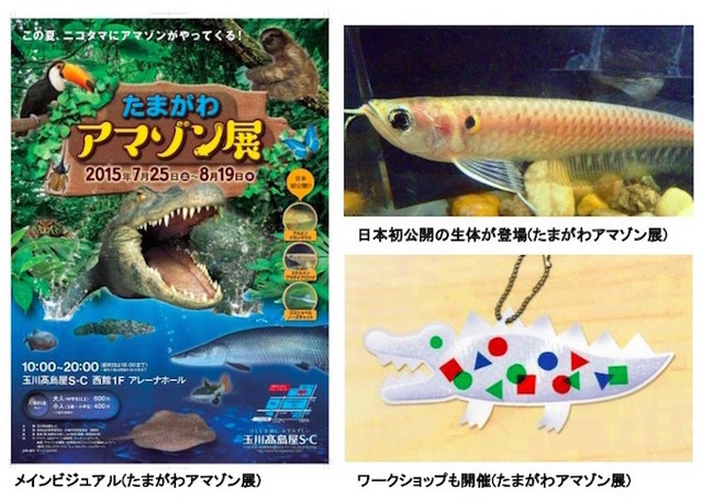 たまがわアマゾン展