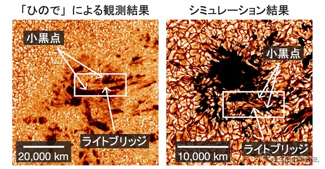 左：「ひので」による形成中の黒点の観測、右：黒点形成シミュレーションの結果