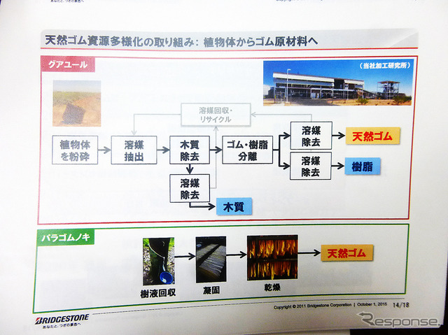 『グアユール』ゴムを用いたタイヤ技術発表会(東京・茅場町、10月1日)