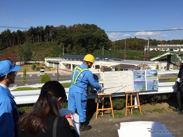 配電線の確認作業