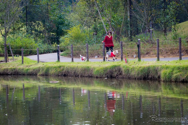 途中には池があり、ゴルフコースが望める場所もあって、東京からクルマで約1時間の距離にあるとは思えない自然を満喫。愛犬との記念写真を撮るスポットも数多く、おなかをすかすのにちょうどいい運動にもなりそうだ。