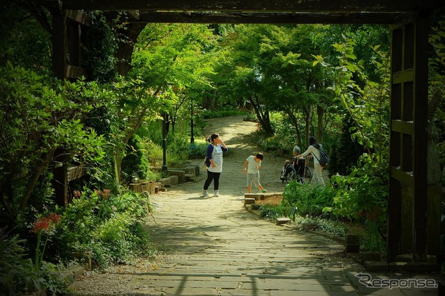 ハーブ園旅日記。
