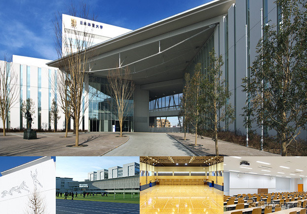 日本体育大学(参考画像)
