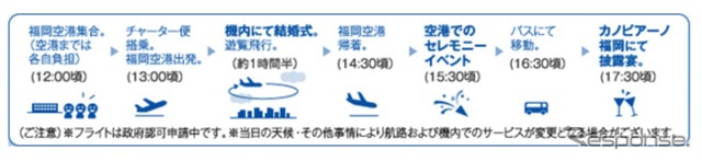 ANAセールス「空の上の結構式」