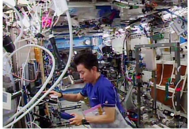 「デスティニー」（米国実験棟）で作業を行う油井宇宙飛行士