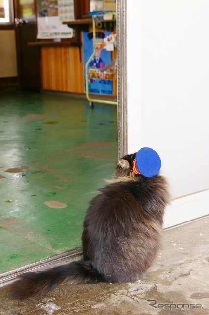 …が、駅構内に気になるものも。