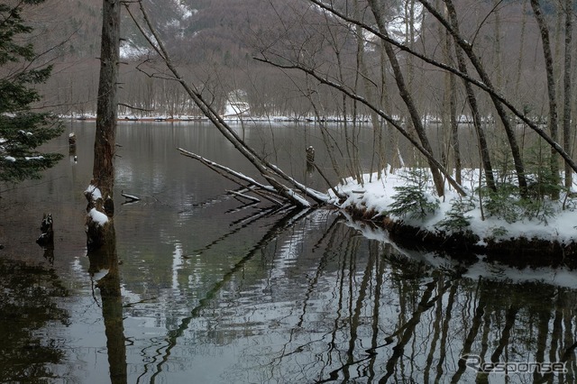 湿地帯。水深の浅いところはすでに結氷しはじめていた。厳寒期はすべて凍る。