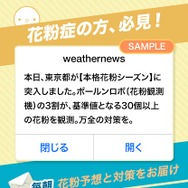 花粉対策infoのイメージ