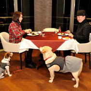 レストラン「ラ・テラス」でディナー。床にはリードフックが備わっているが、中小型犬でカートが必要な場合はフロントでエアーバギーを貸してくれる（無料）