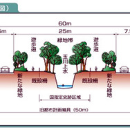 放射第5号線の整備は、玉川上水の流れや緑地をできるだけ保ちながらすすめられ、玉川上水沿いの緑道、電気・ガス・水道などのライフライン（埋設管）、築堤コンクリート、車道・歩道の舗装、環境施設帯の緑化、歩道・自転車道という順で整備される