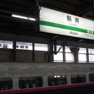 枝豆の販売期間は7月から9月まで。新潟駅を14時19分～18時12分に発車する上り東京行き9本で販売する。