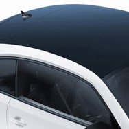 VW ザ ビートル ブラックスタイルブラックペイントルーフ／ダークティンテッドガラス（リヤ/リヤ左右、UVカット機能付）／ウインドーフレーム