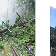 倒木が多数発生し運行を見合わせている、南海鋼索線（左）と高野線紀伊細川駅構内（右）の状況。