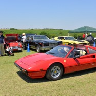 北本水辺公園まつり 昭和、平成クラシックカーフェスティバル2019