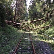 久留里線の被災状況。倒木が発生している上総松丘～上総亀山間。