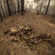 豪ニューサウスウェールズ州の森林火災（11月11日）