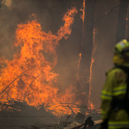 豪ニューサウスウェールズ州の森林火災（11月10日）
