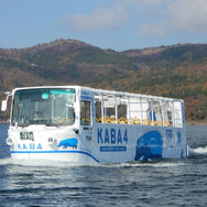 YAMANAKAKO NO KABA（山中湖のカバ）