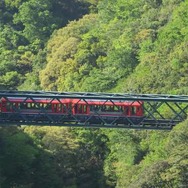 2020年秋頃の復旧を目指すことになった箱根登山鉄道。写真は3100形。