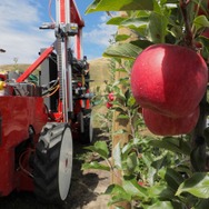 Abundant Robotics社の自動りんご収穫機
