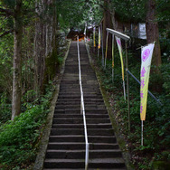 金持神社の階段。