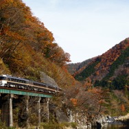 飛騨川沿いの高山本線を走る特急『（ワイドビュー）ひだ』。7月8日は始発から運休している。