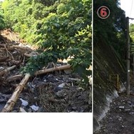 最も被害が大きい海浦～佐敷間の佐敷トンネルの状況（7月30日時点）。トンネル出口から70～80m程度の付近。岩石とともに大量の木が流れ込んだ。