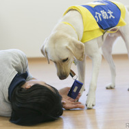 JAF×日本介助犬協会、思いやりのある交通社会を目指してJAF初のクラウドファンディング開始