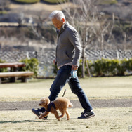 津久井湖城山公園でお散歩