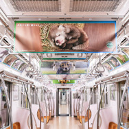 全国の動物園の人気者たちが電車をジャック、「深い癒やしトレイン」登場