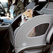 愛犬とのドライブ（イメージ）